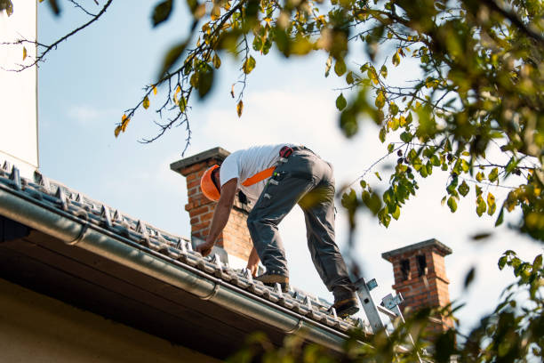 Best Storm Damage Roof Repair  in Loudonville, NY